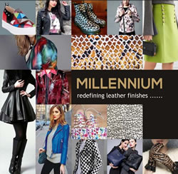 Millennium Product Brochure Preview